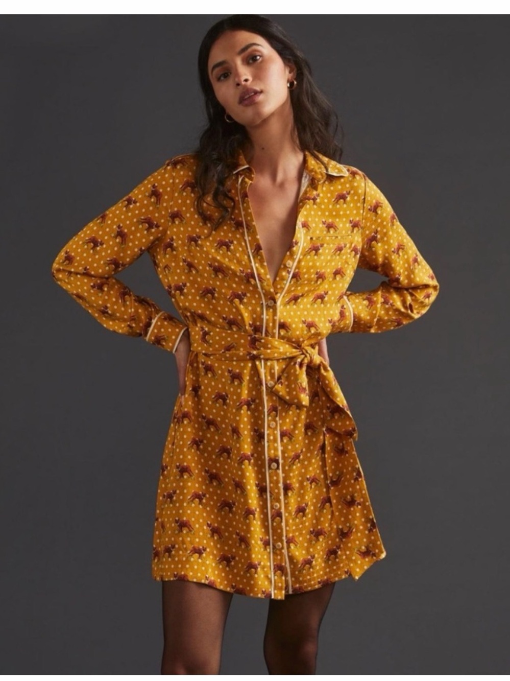 NWT | ANTHROPOLOGIE Foxy Forest Friends Gold Mini Dress | 12